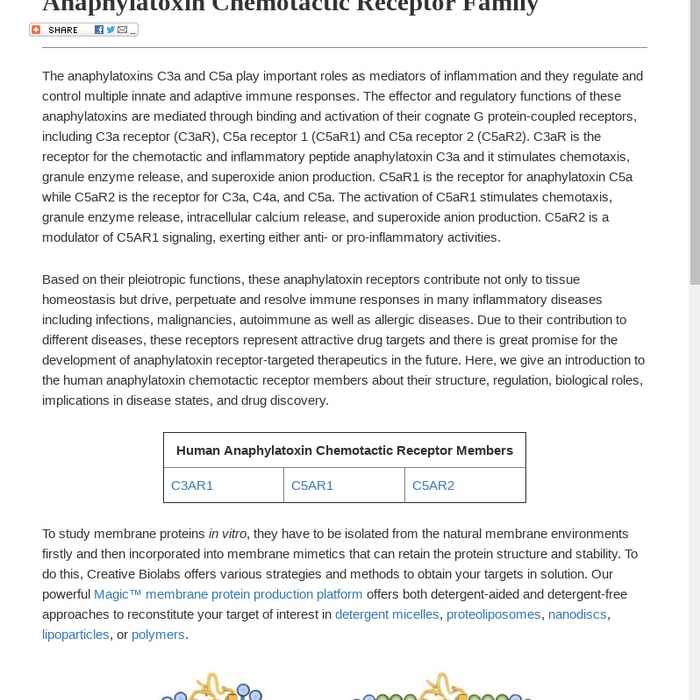 Anaphylatoxin Chemotactic Receptor Family - Creative Biolabs