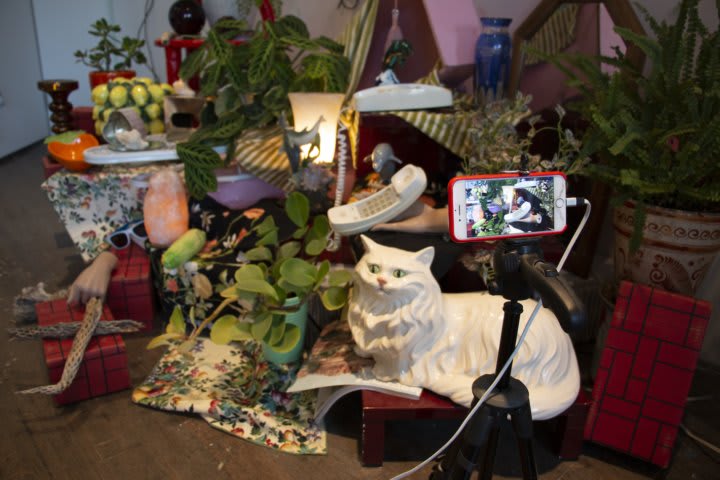 Find joy and stress relief in online still life drawing sessions with Anna Breininger and Kristin Cammermeyer via @Zoom_us every Sunday (h/t