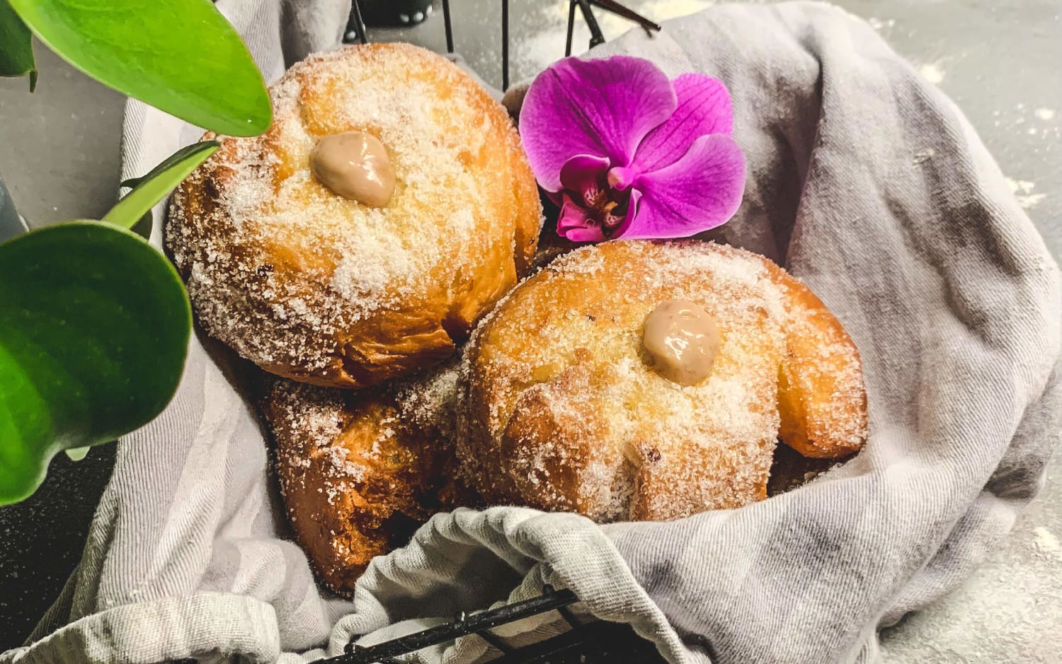 Strawberry-Vanilla Portuguese Doughnuts (Malasadas)