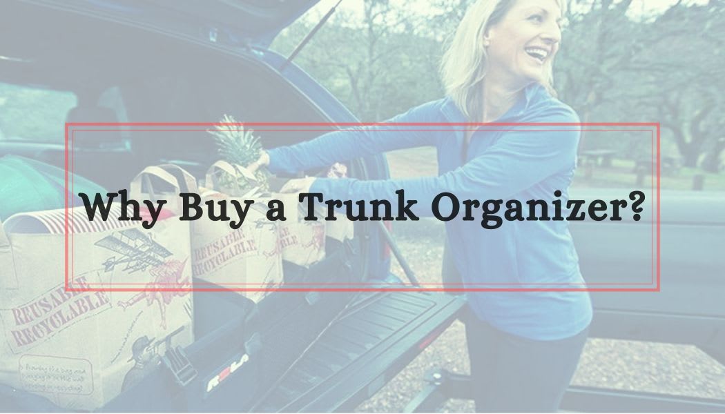 Why Buy a Trunk Organizer ?? - The Writs (Must Needed)