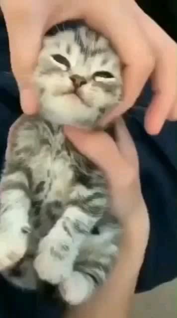 That's the spot.