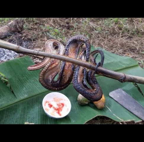 Primitive Technology Food - Awesome cooking Snake recipe in Wild - Eating delicious