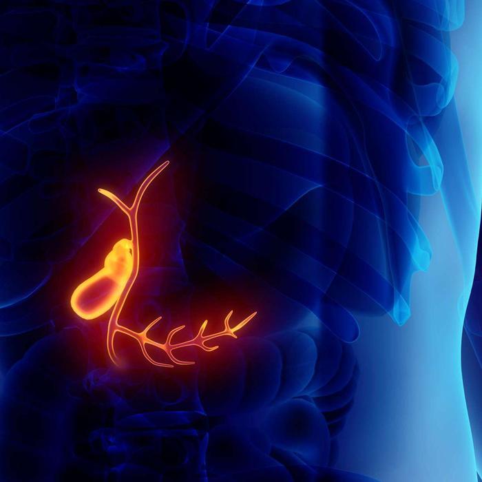 12 Facts About the Gallbladder
