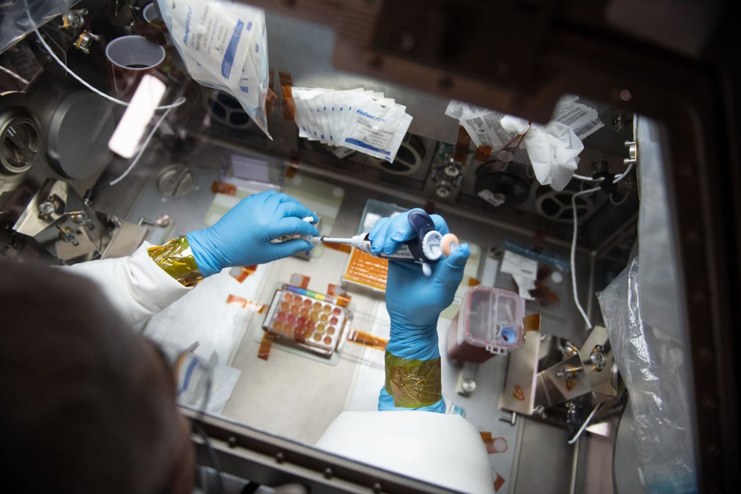 Researching Immune Response on the Space Station