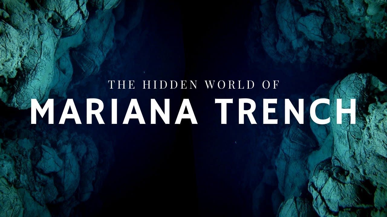 The Mariana Trench. The abyss with alien-like animals