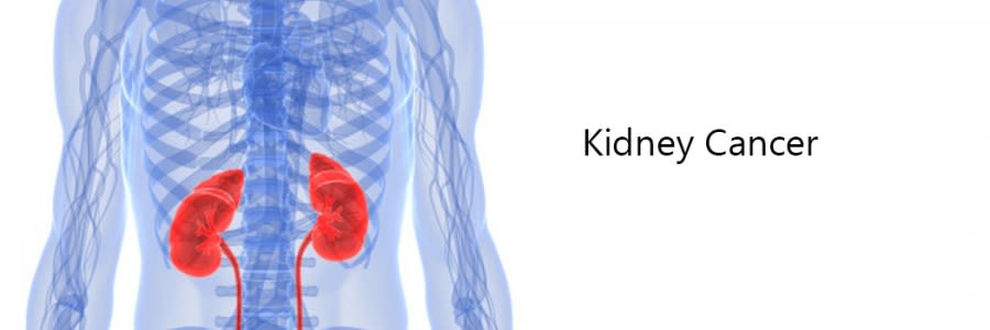 Effective Tips For Maintaining Good Kidney Health