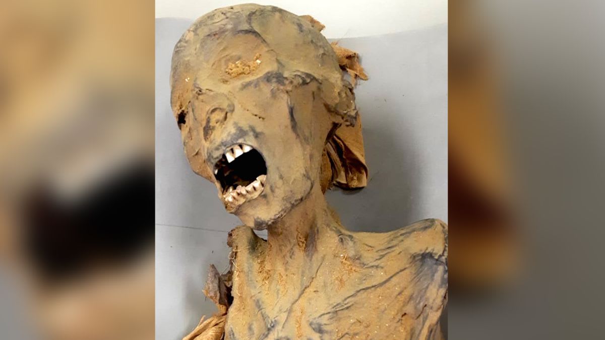 'Screaming mummy' may have died of a heart attack, researchers say