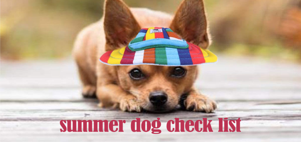 Summer Check List For The Dog