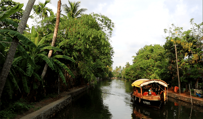 Top 5 Amazing Honeymoon Destinations In Kerala You Must Check Out
