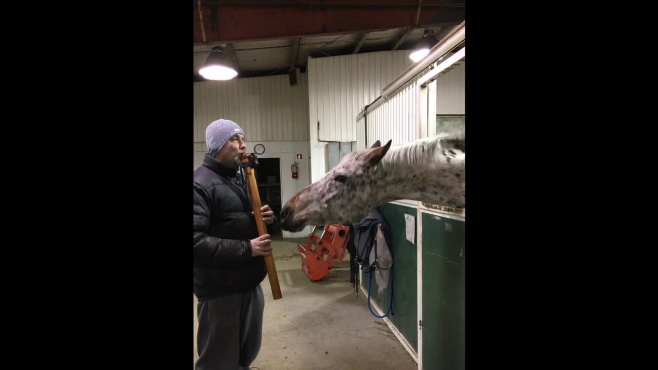 This horse is JAMING out to this native american flute