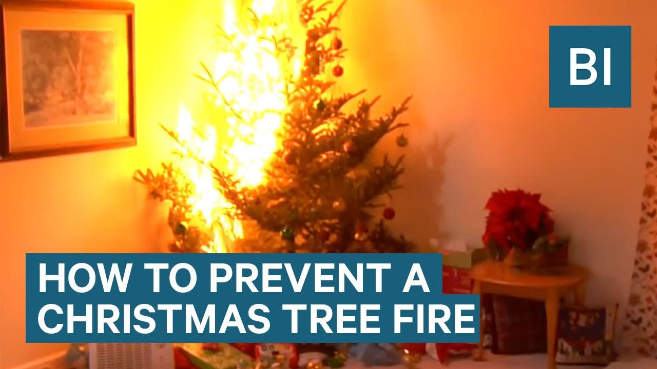 How To Prevent A Christmas Tree Fire This Year
