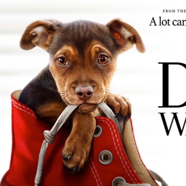 A Dog's Way Home Giveaway