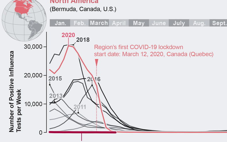 Flu Has Disappeared Worldwide during the COVID Pandemic