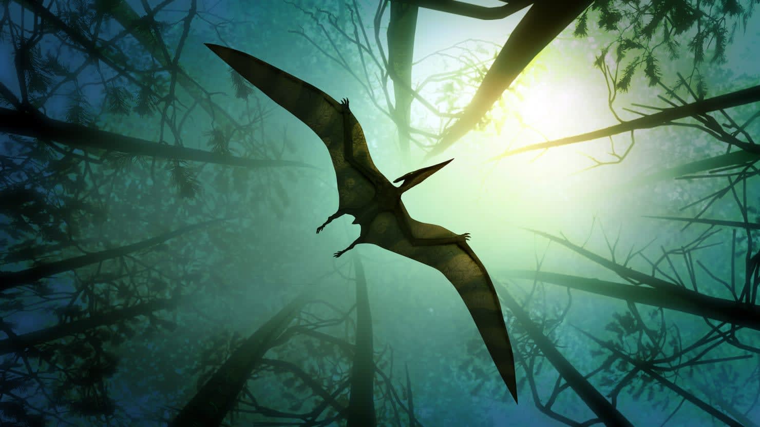 Hunting for Flying Dinosaurs in a Remote Corner of the World