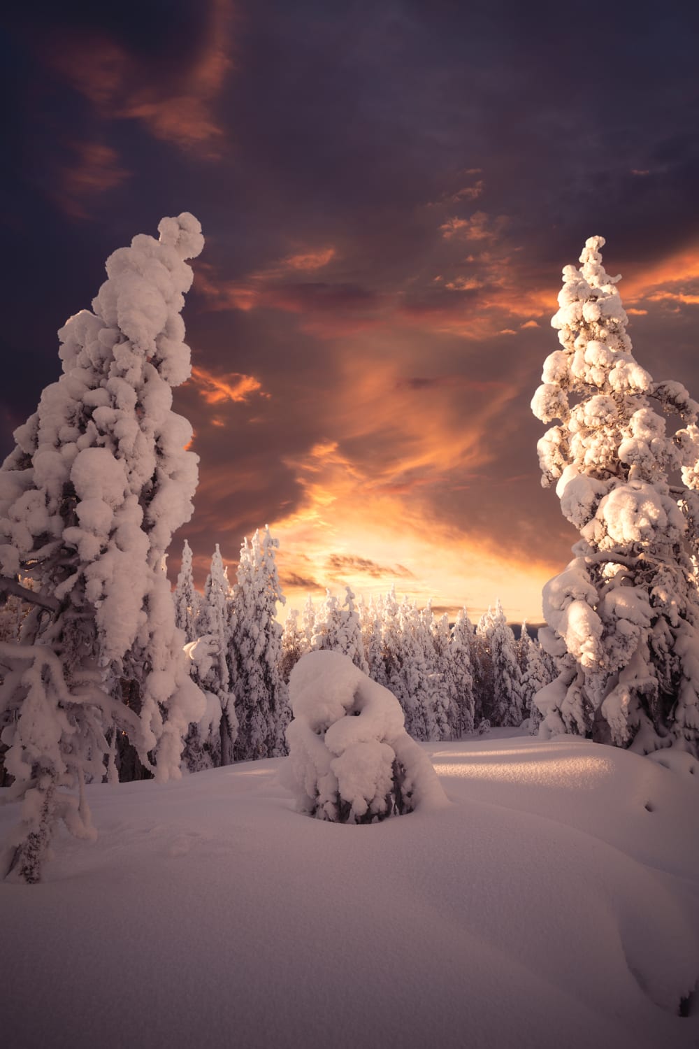 Last winter wasn't the coldest or the snowiest, but man it was pretty. Taken in northern Finland.