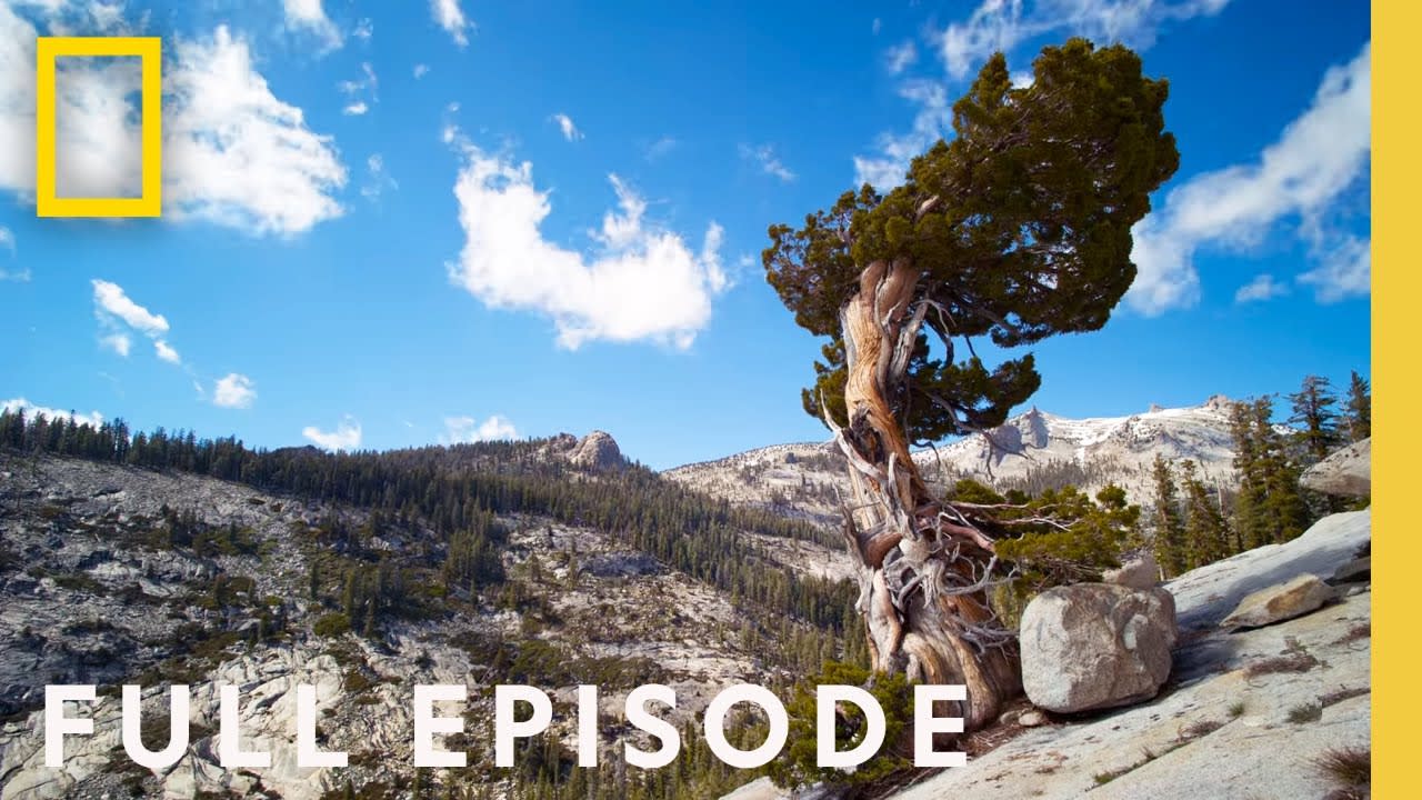 Yosemite (Full Episode) | America's National Parks: Classic