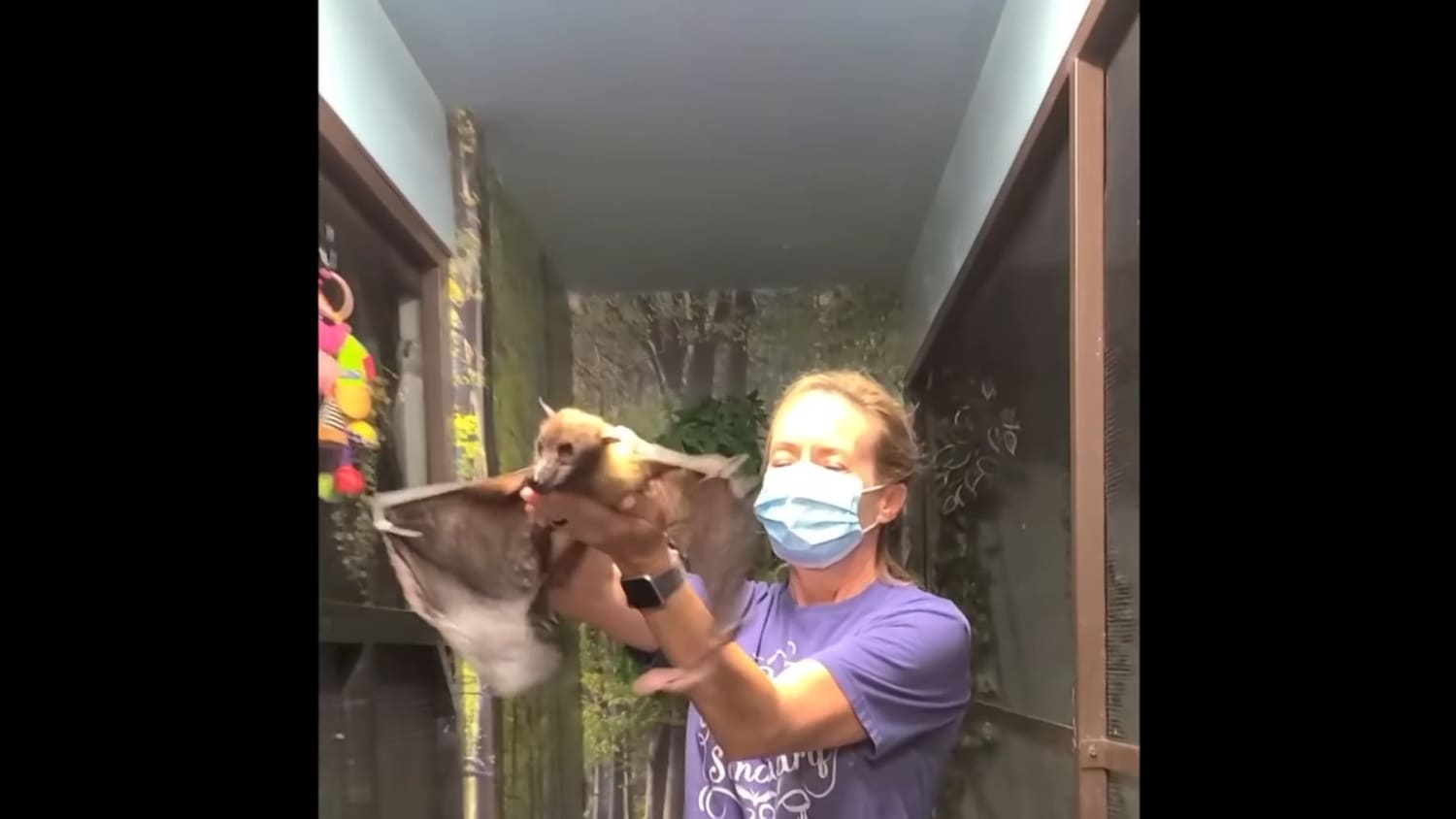 Helping a 33 year old bat fly again