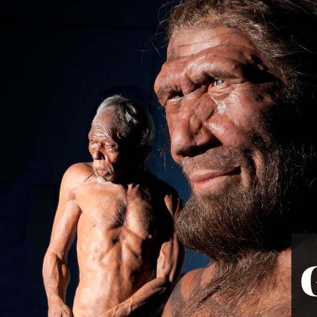 Scientists to grow 'mini-brains' using Neanderthal DNA