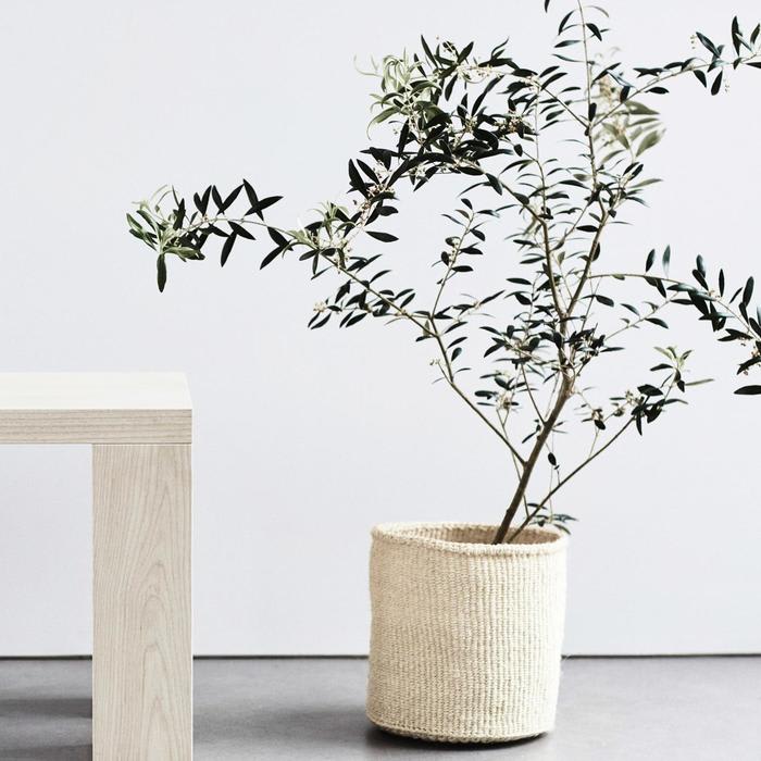 Pure Minimalist furniture collection takes cues from beach landscape of the Hamptons