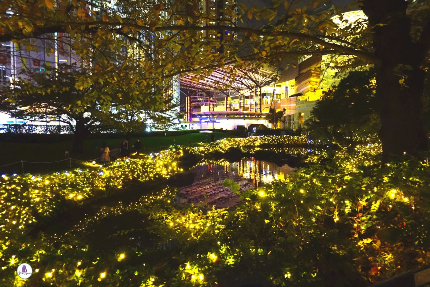 Dazzling light festivals to see during Christmas in Tokyo