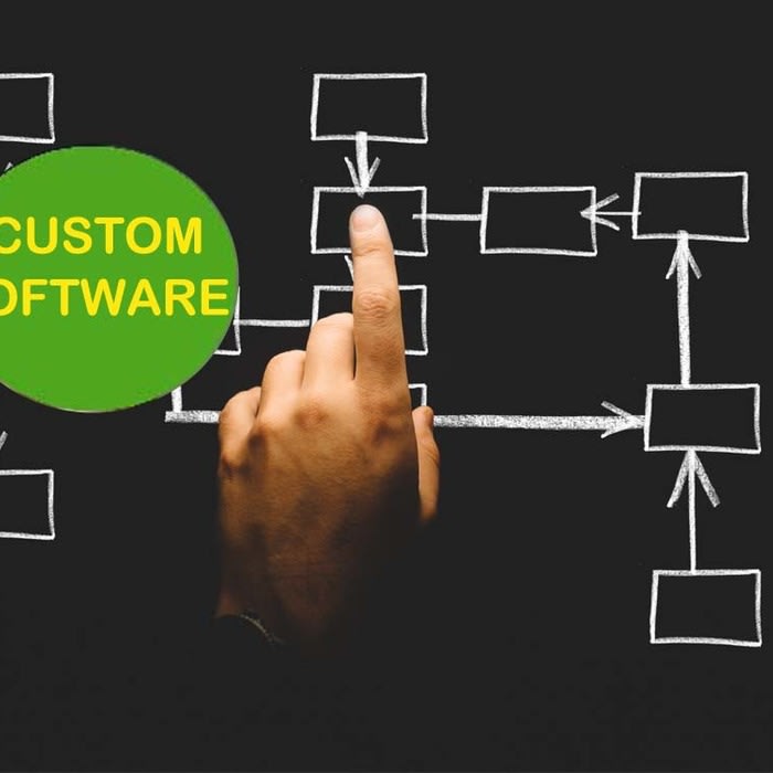 Software Solution Provider in Bhubaneswar
