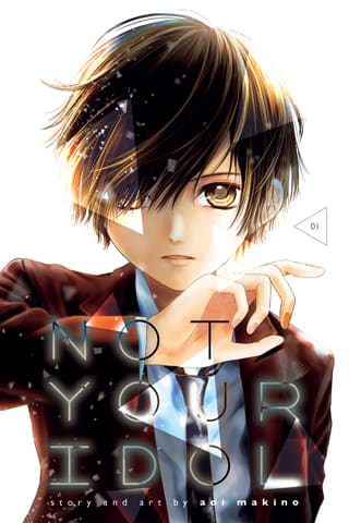 Read a Free Preview of Not Your Idol, Vol. 1