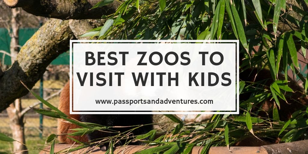 The Best Zoos To Visit With Kids In The World