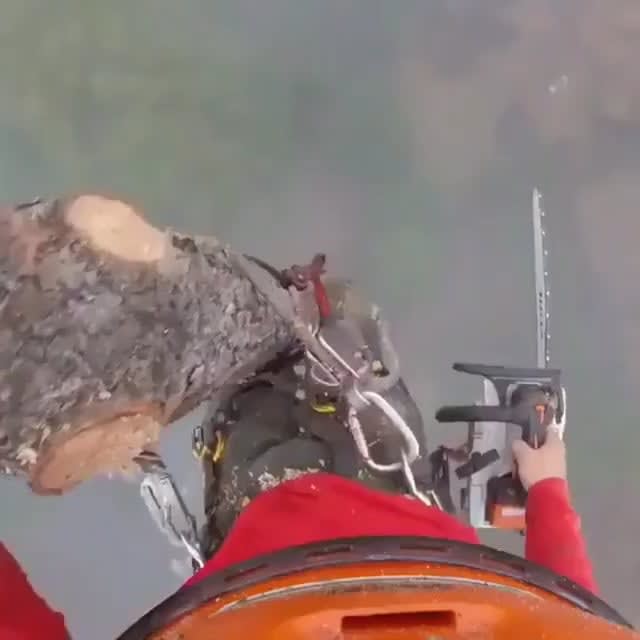 This Lumberjack Working High Up In The Mist