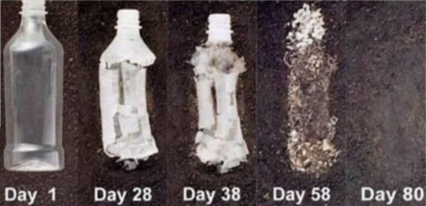 This is what happens to a hemp bottle after 80 days. Cannabis plastics are non-toxic and biodegradable