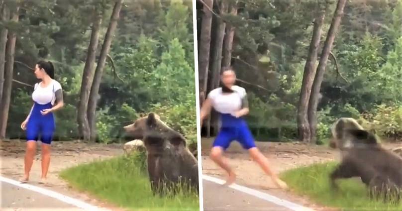 Terrifying Moment Bear Lunges At Tourist Who Got Out Of Car For Selfie