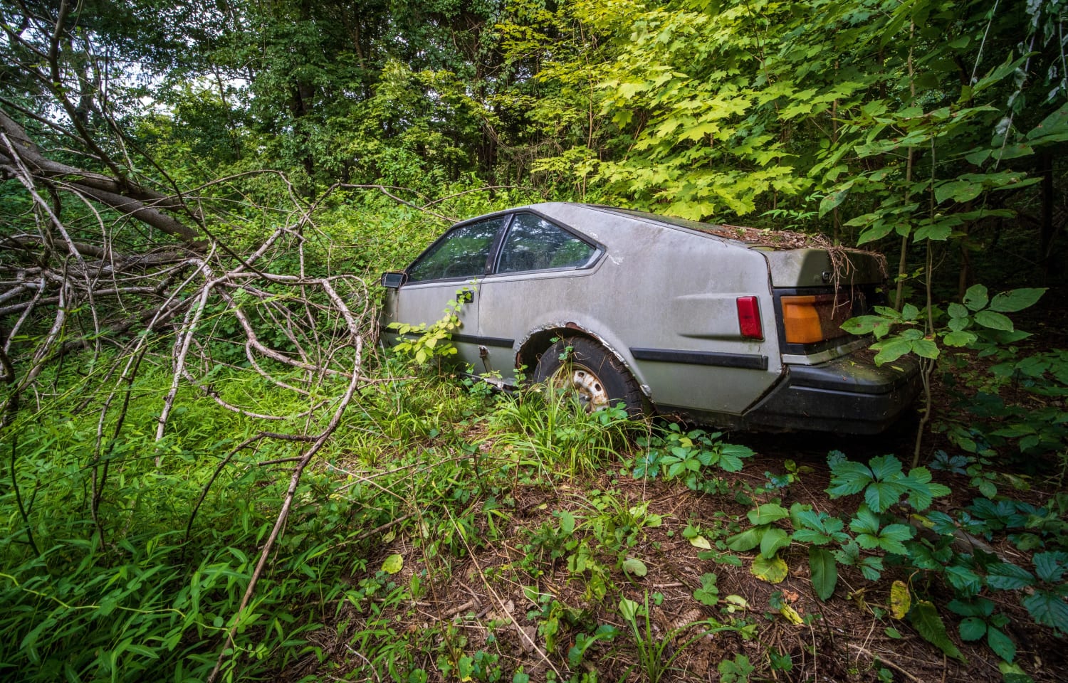 Abandoned Supra left to rot in the woods.