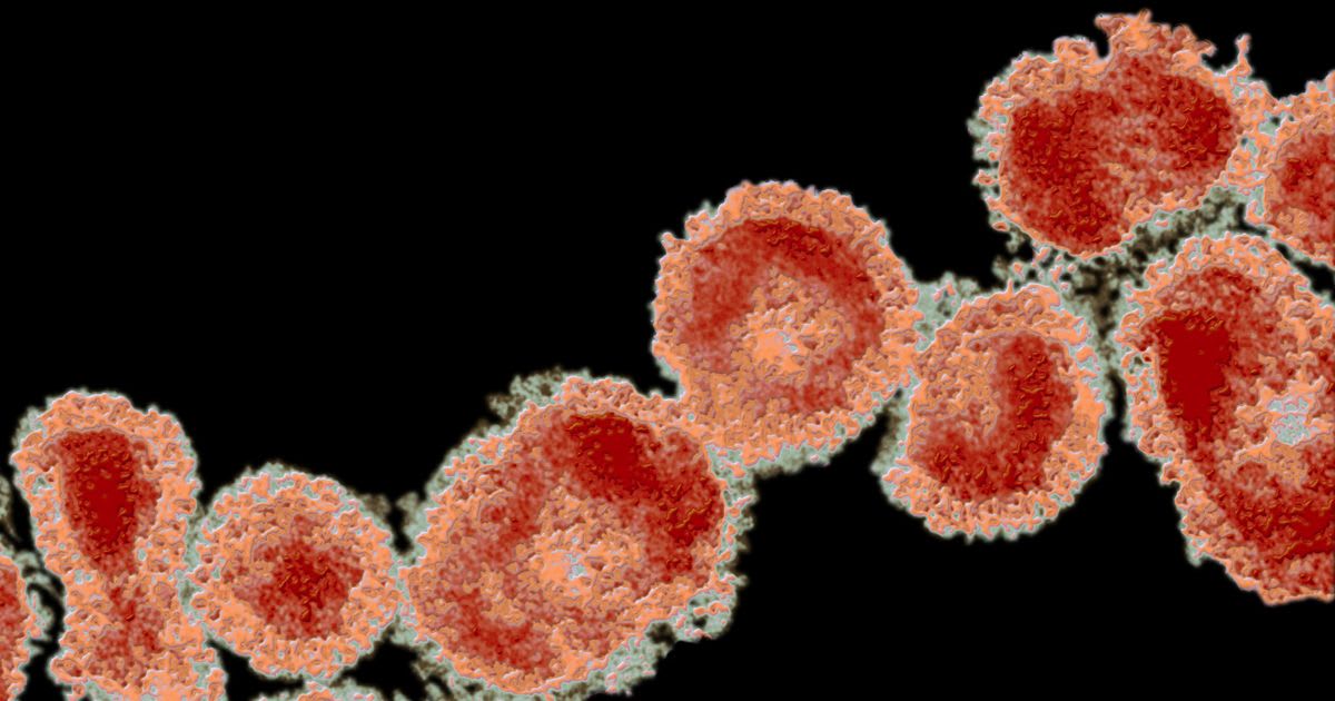 The Story of a Coronavirus Infection