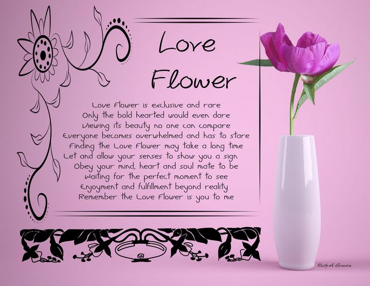 Love Flower - Rusty A. Gouveia