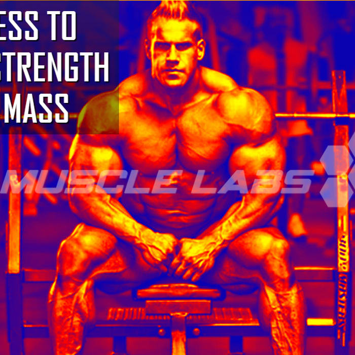 Bench Press Like A Pro by Muscle Labs USA Supplements