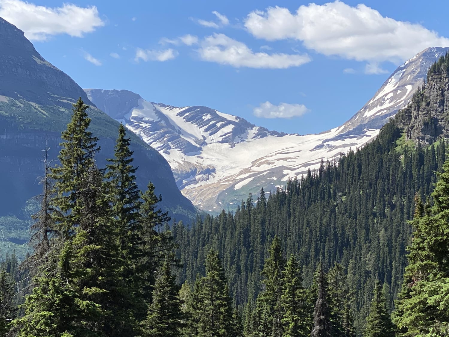 Jackson Glacier in Glacier National Park. One of the few remaining actual glaciers in the park. Going To The Sun Road in the park is an absolute must destination for any roadtripper!