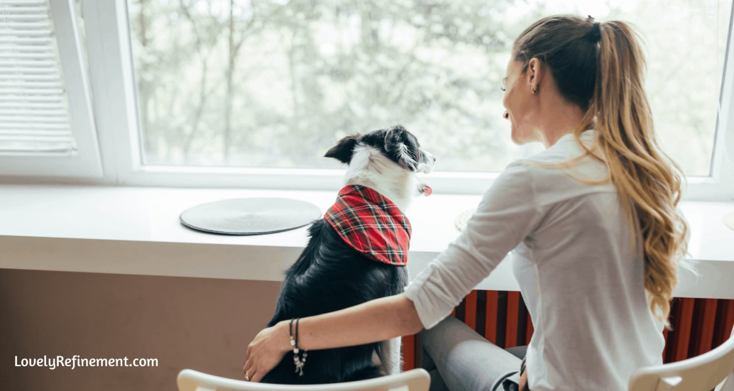 8 Best Gifts For Pet Lovers In 2019