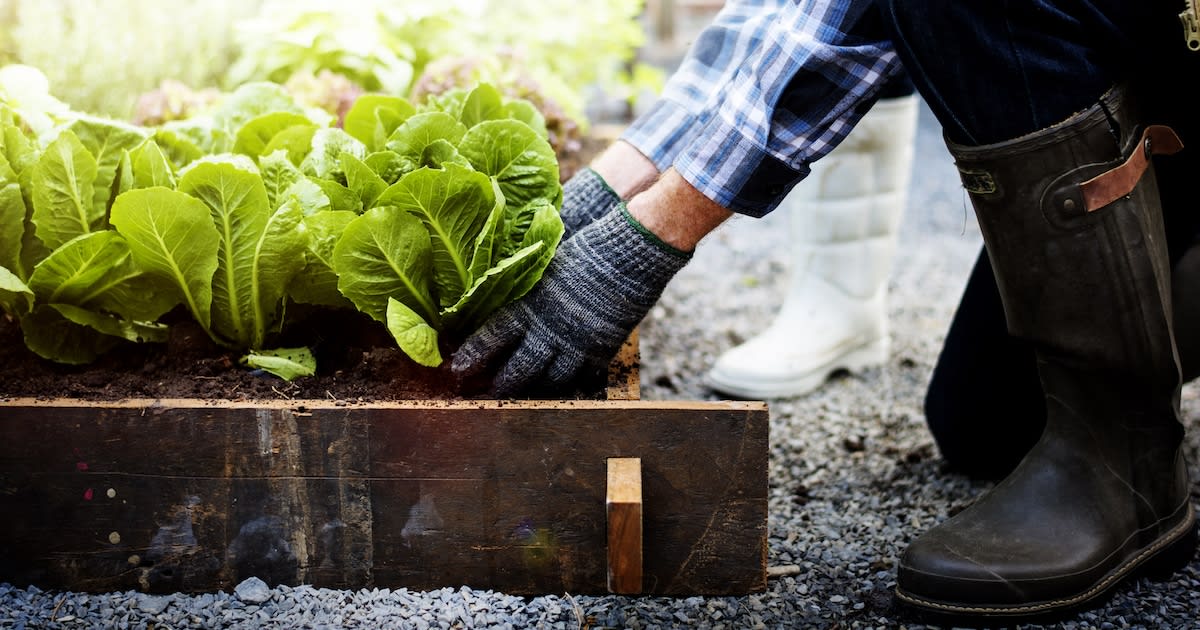 Princeton Study Finds That Home Gardening Makes You Happier