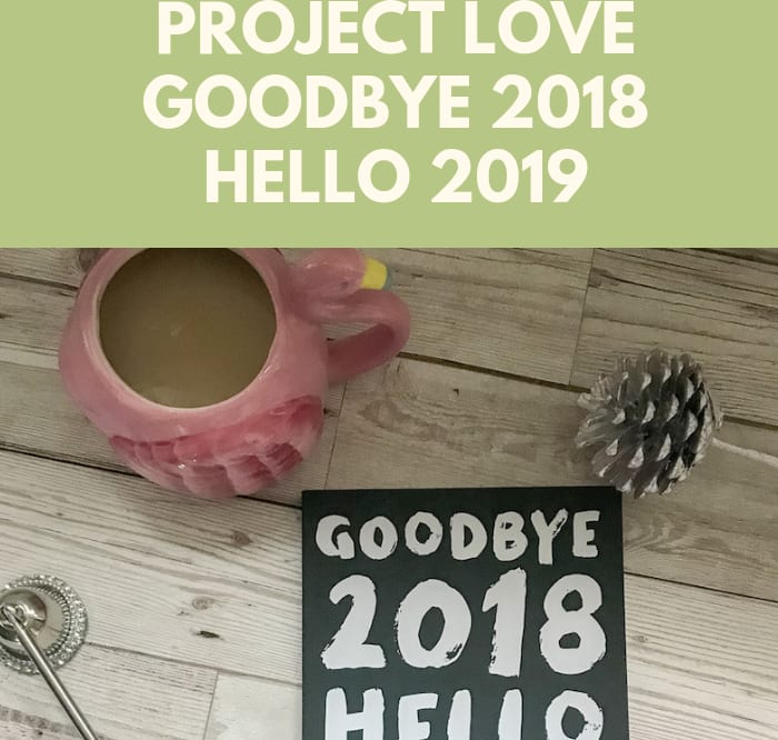 Project Love Goodbye 2018 Hello 2019