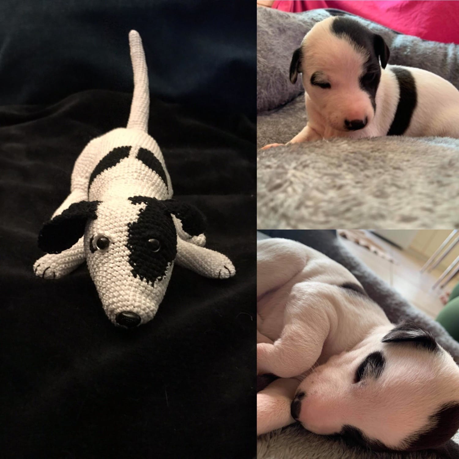 I crocheted the puppy! Meet whippet Goode and her cotton body double.