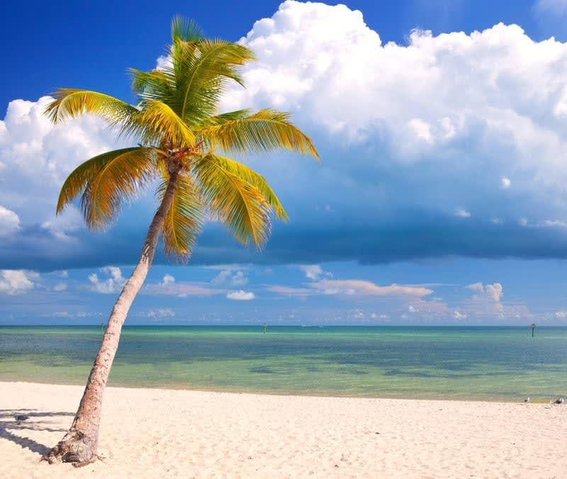 Beaches in the Florida Keys that You’ll Love