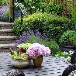 Yard Attractive: Tips and Checklist