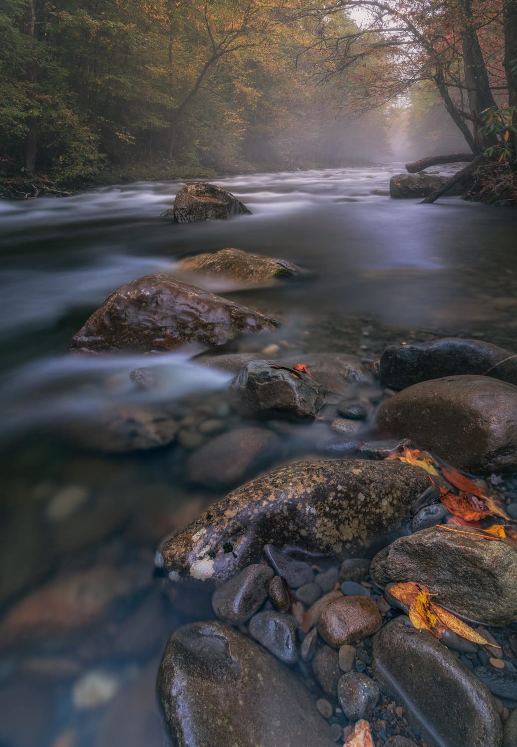 Riverside in Greenbrier Cove - Great Smoky Mountains National Park