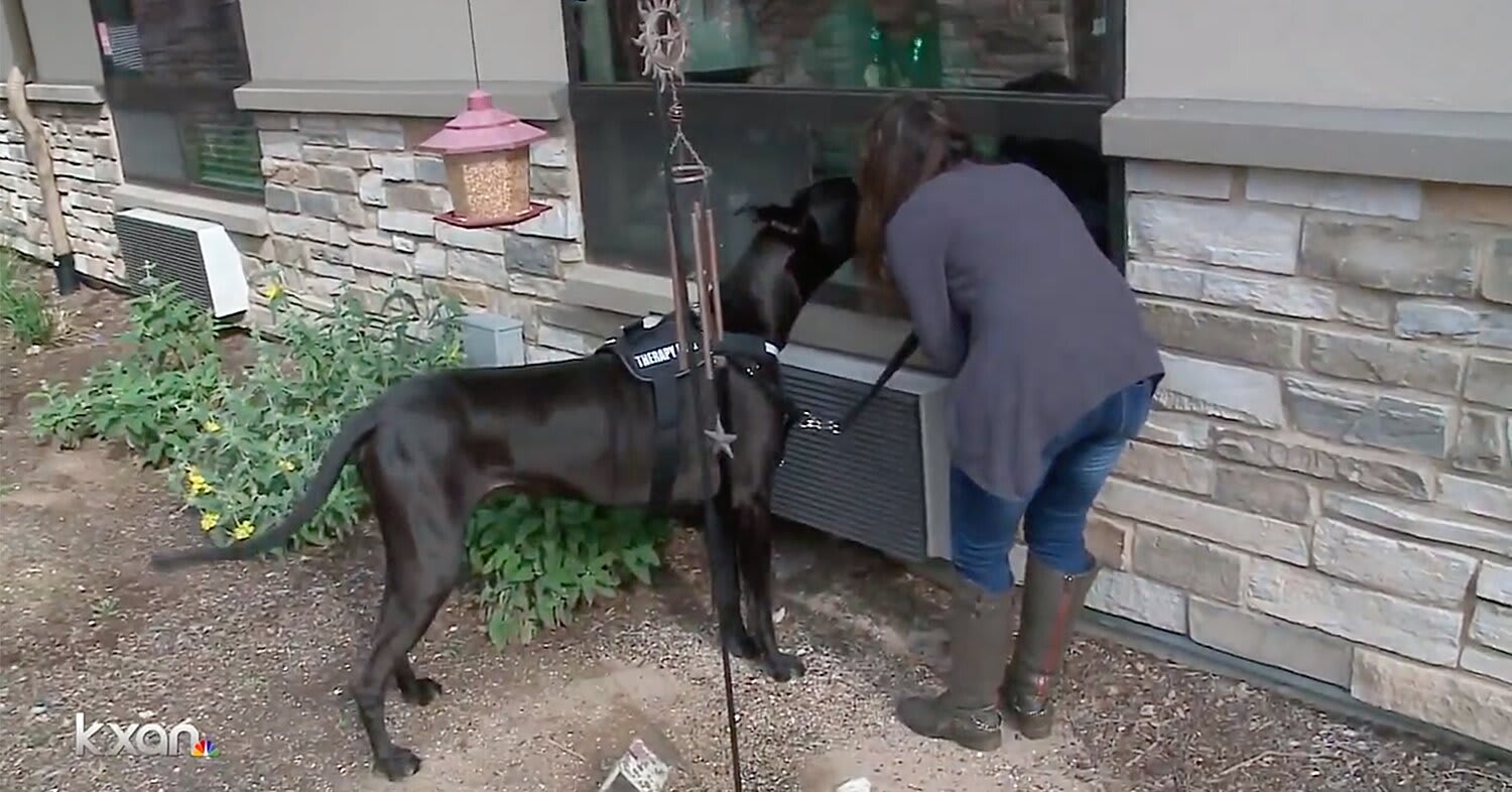 Therapy Dog Visits the Windows of Senior Center to Cheer Up Residents Amid Coronavirus