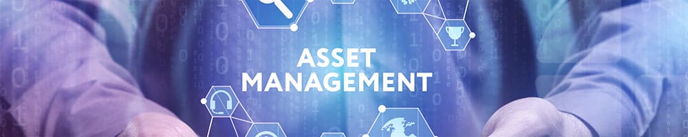 Digital Asset Management (DAM) Systems