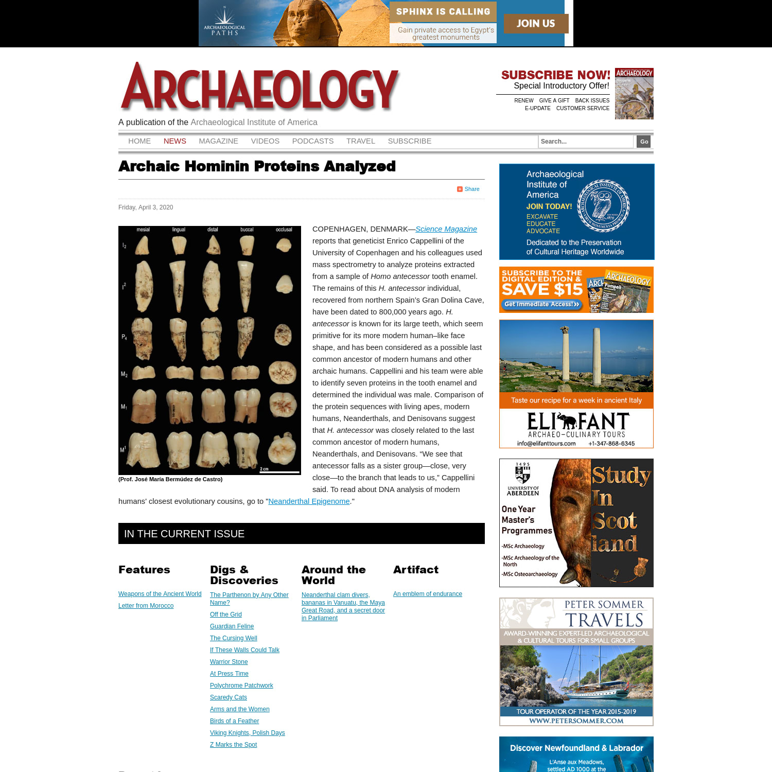 Archaic Hominin Proteins Analyzed - Archaeology Magazine