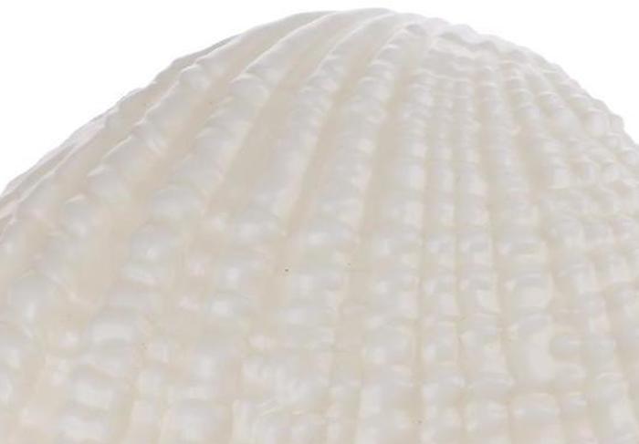 Sounds of The Sea Shell Night Light