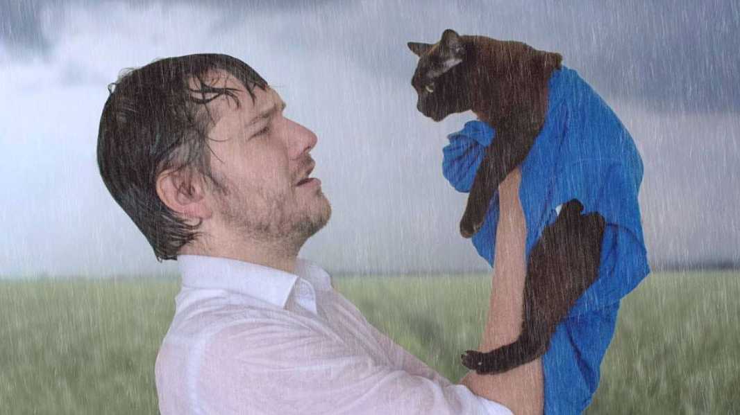This man and his cats recreate scenes from famous movies