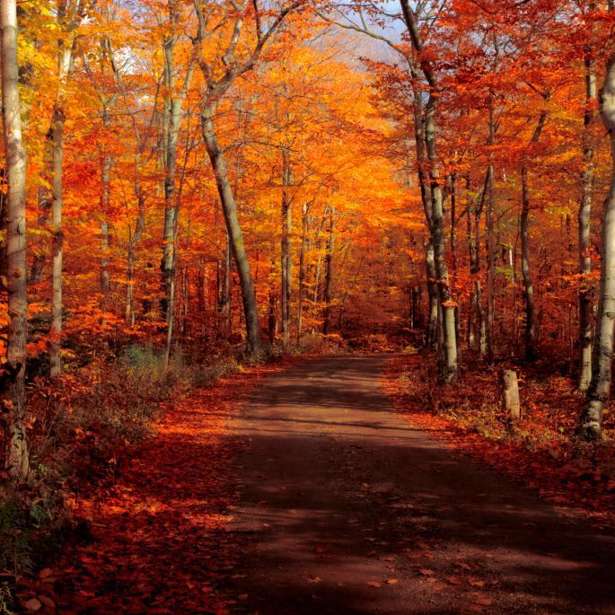 Top 10 U.S. destinations for fall color