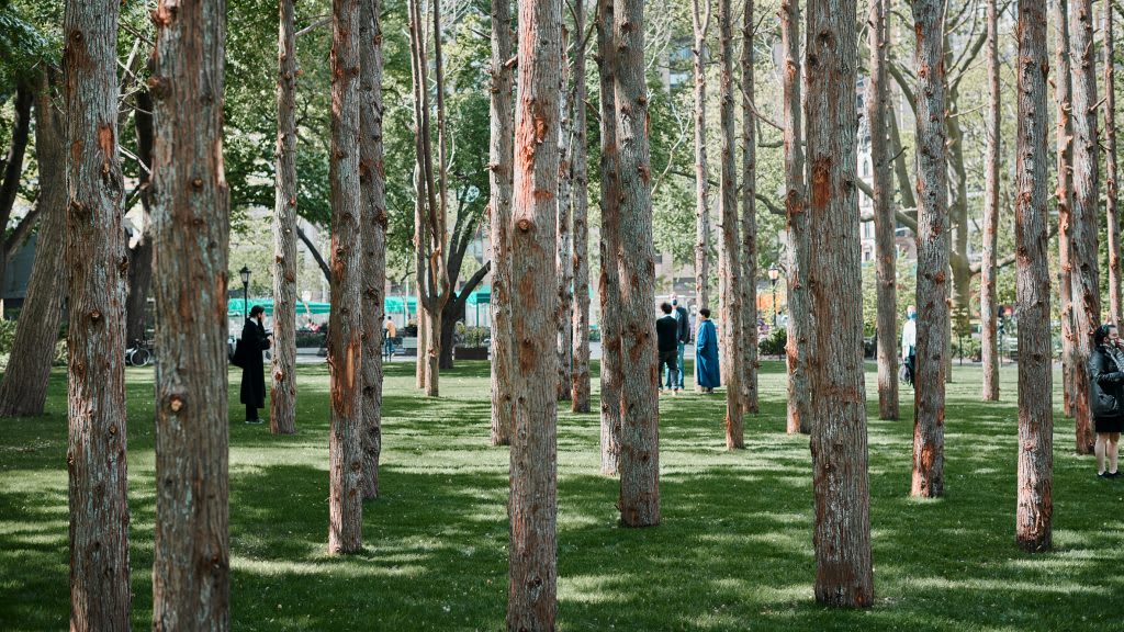 Maya Lin installs Ghost Forest of dead trees in Maya Lin installs Ghost Forest of dead trees in Midtown Manhattan