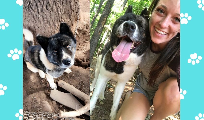 Women Finally Happy to be Able to Adopt the Abandoned Dog She Cared and Fed for Over a Year
